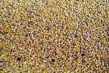 Quinoa Mixed Organic 500g