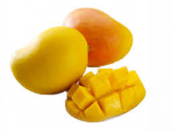 Mango Kensington Pride Small x 2