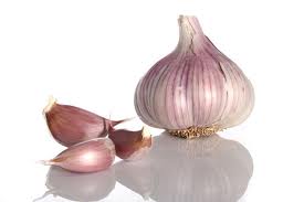 Aussie Garlic Bulb