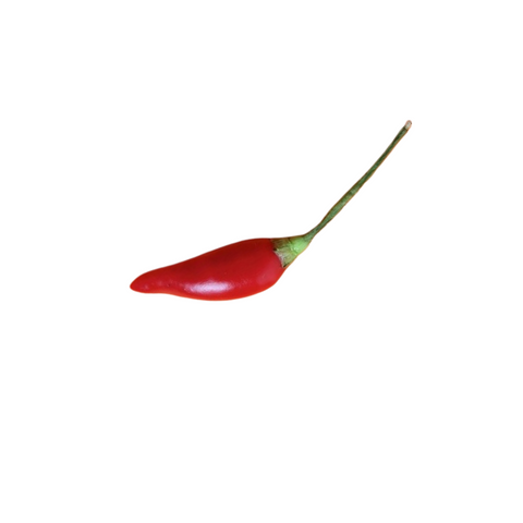 Chilli Small Red Each