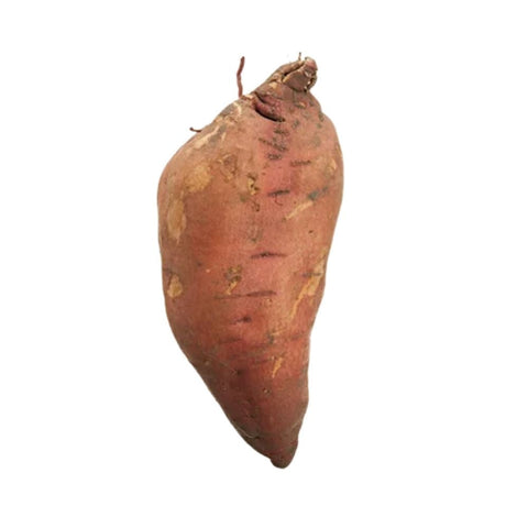 Sweet Potato X Large