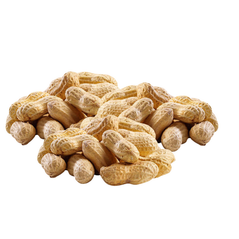 Peanut in Shell Roasted 500g