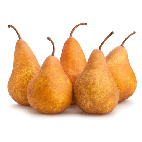 Beurre Bosc Pears x 5