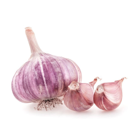 Garlic Purple Half Bulb
