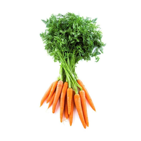 Carrots dutch bunch