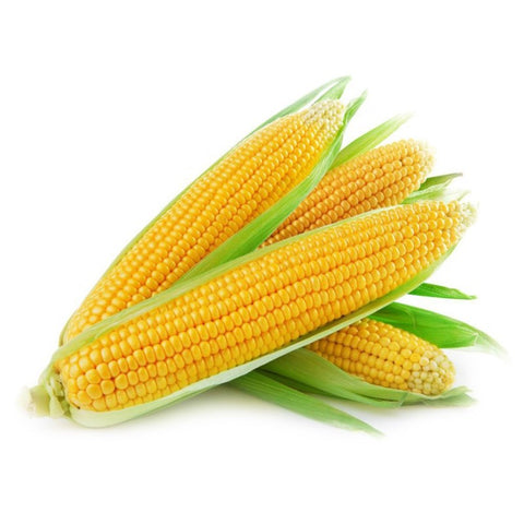 Corn Large Local x 3